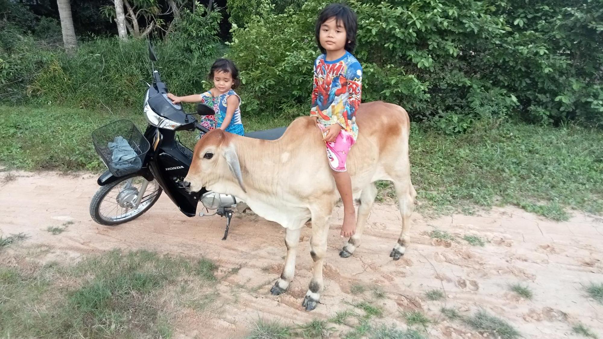 Kakrona Pouk Homestay Siem Reap Dış mekan fotoğraf